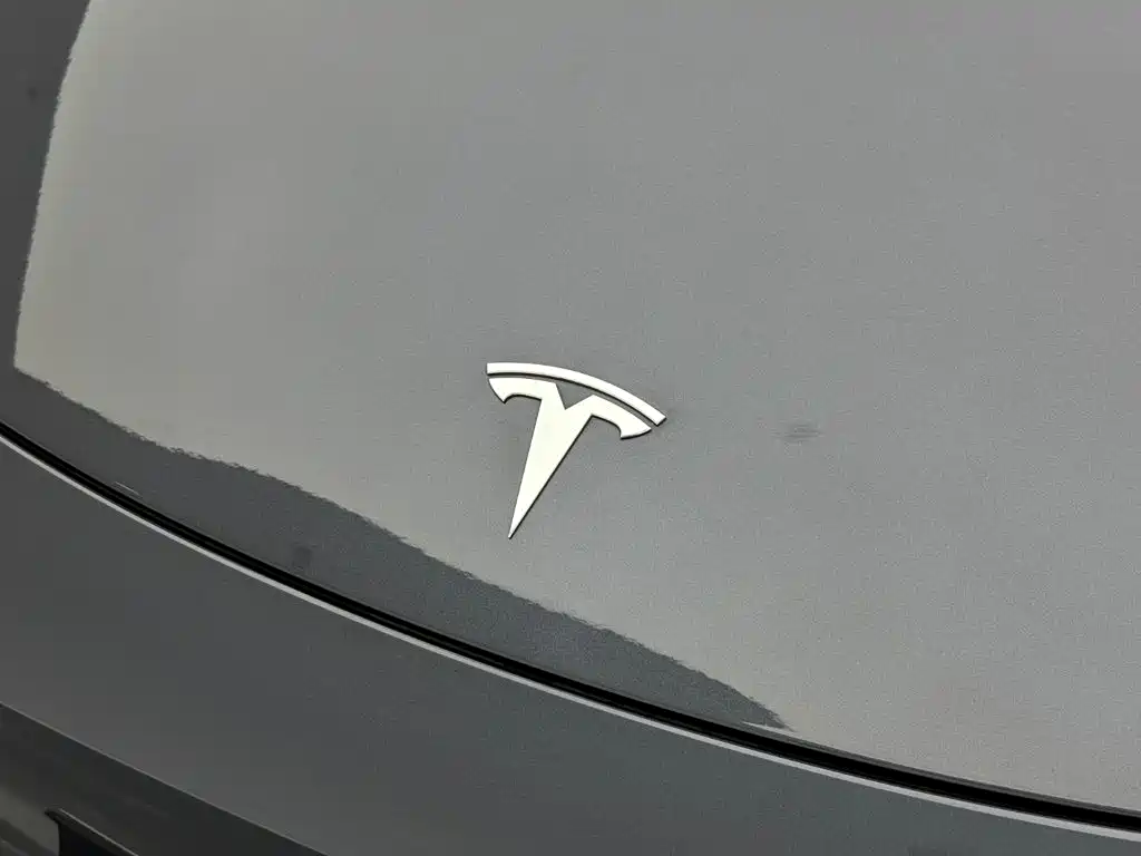 Tesla Model Y — миниатюра 25