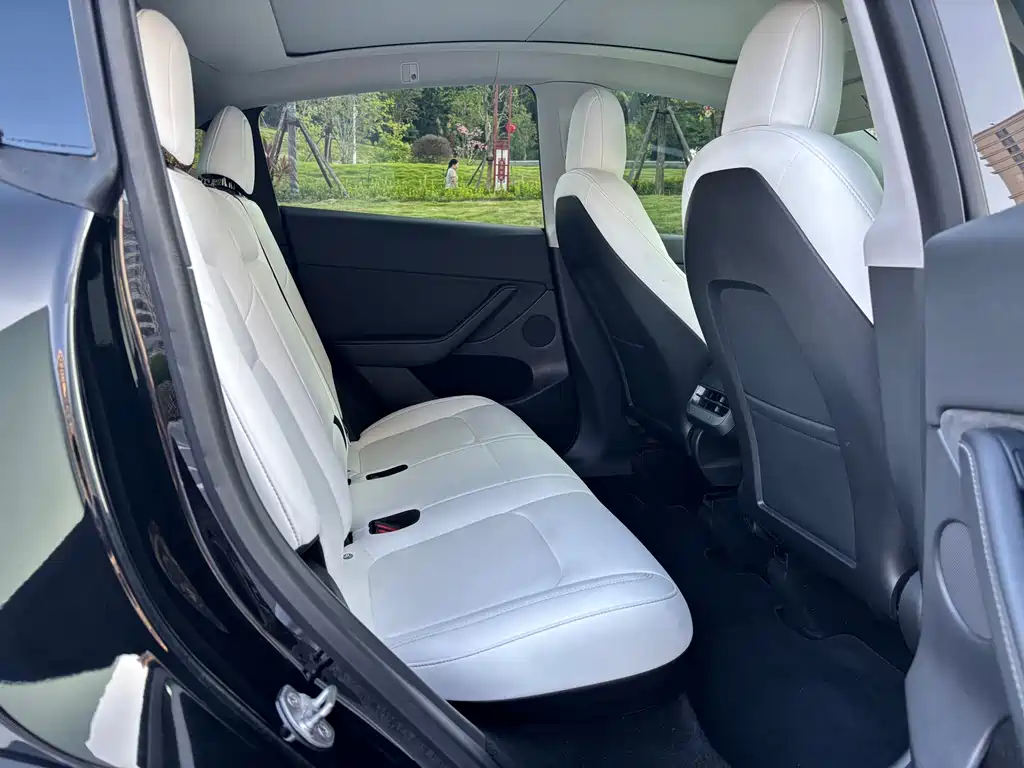 Tesla Model Y — миниатюра 6