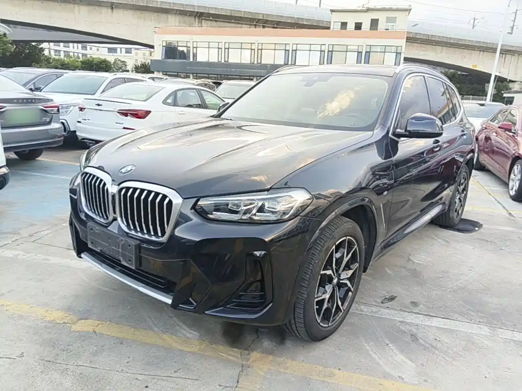 BMW X3 — миниатюра 2