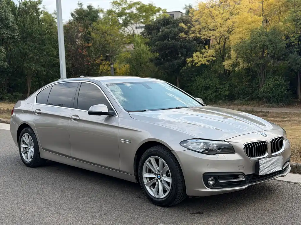 BMW 5 Series — миниатюра 3