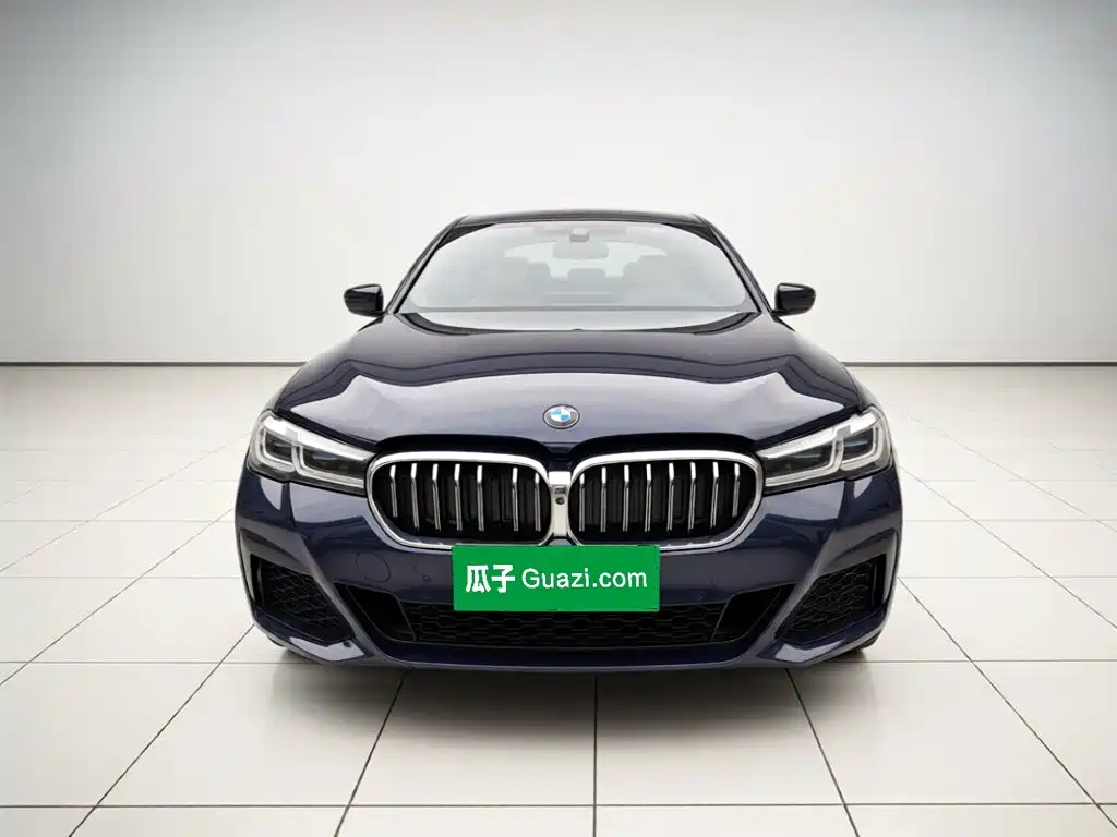BMW 5 Series — миниатюра 2