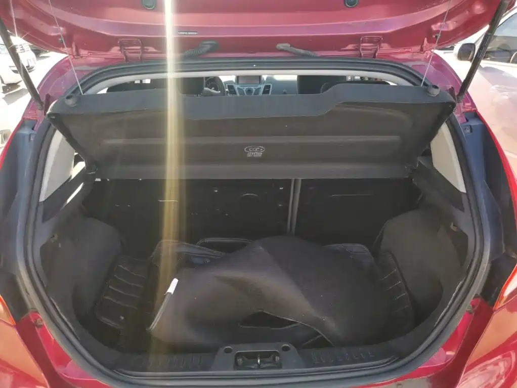 Ford Fiesta — миниатюра 19