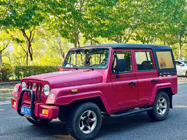 BAW BATTLE FLAG 2018