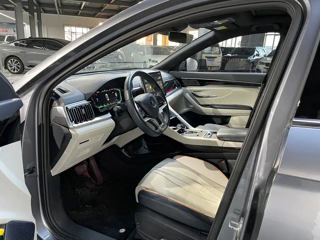 BYD PLUS New Energy — миниатюра 6