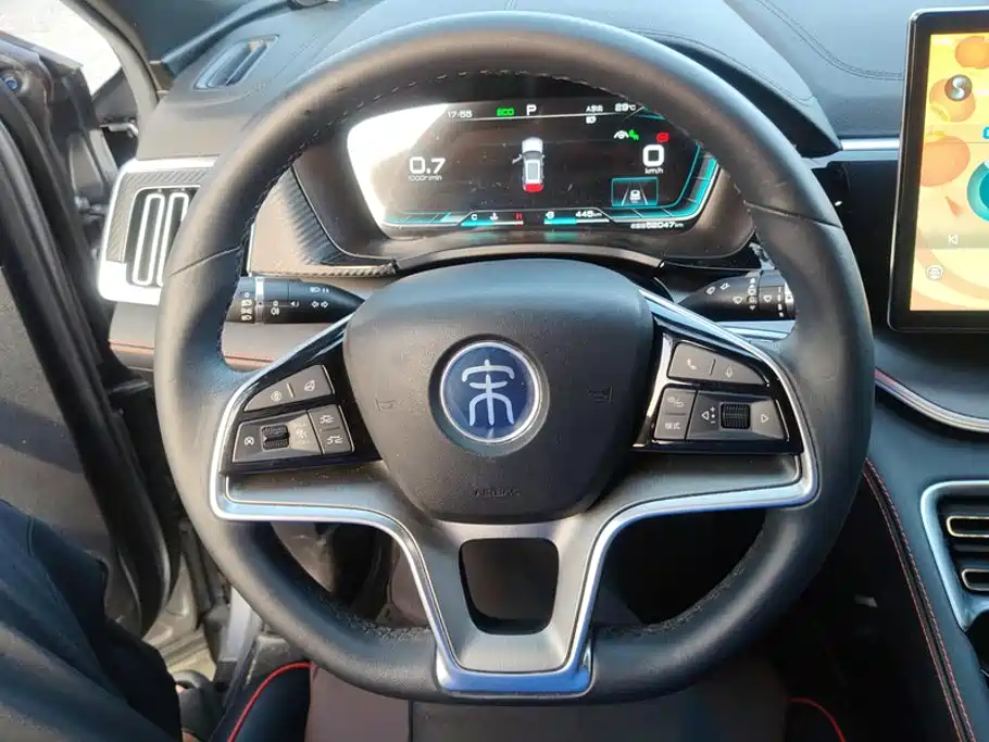 BYD PLUS — миниатюра 15