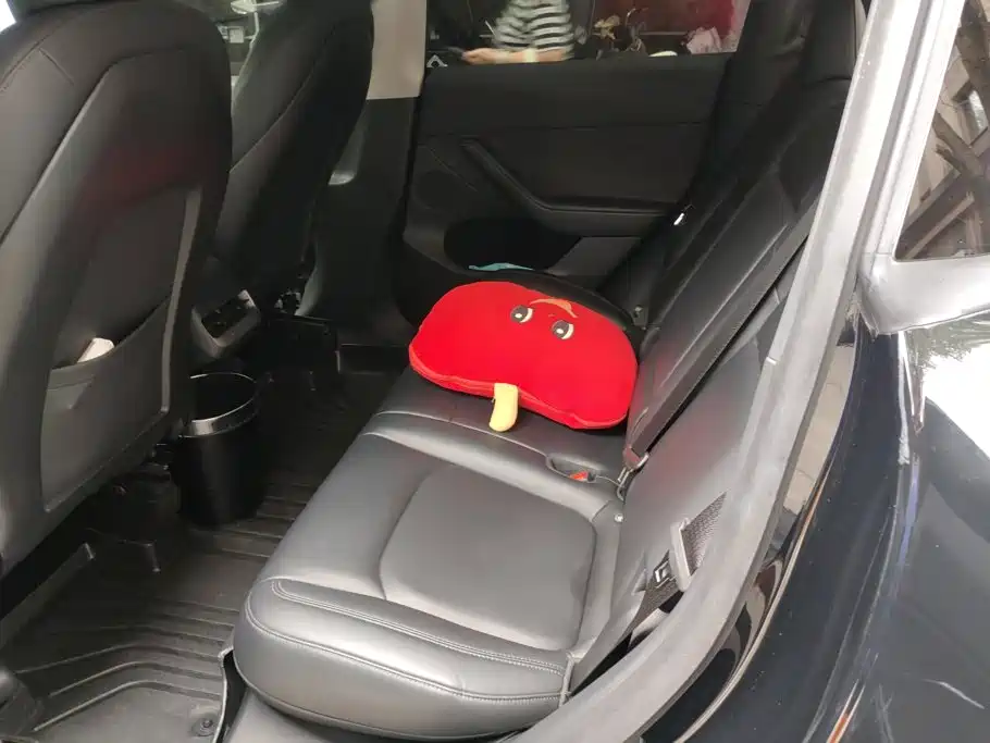 Tesla Model Y — миниатюра 11