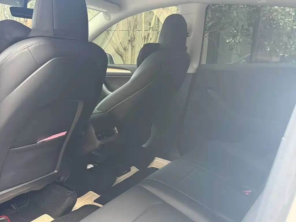 Tesla Model Y — миниатюра 5