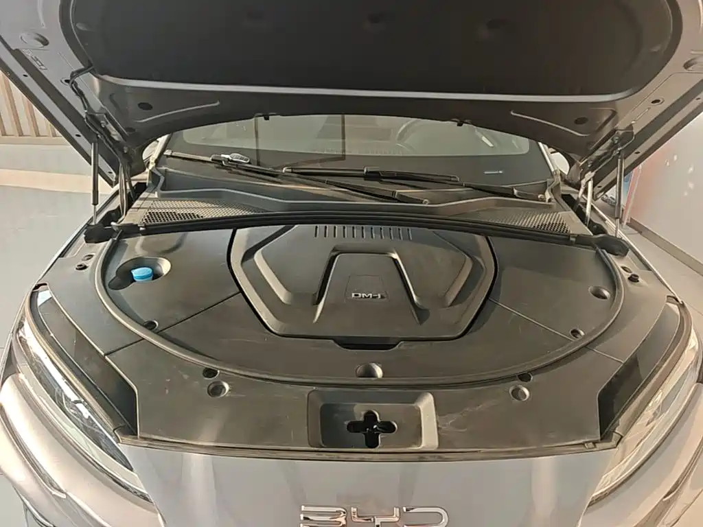 BYD PLUS New Energy — миниатюра 20