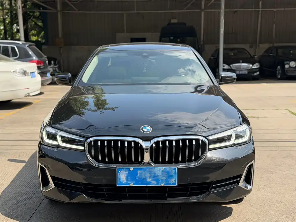 BMW 5 Series 5 2021 530Li Premium Luxury