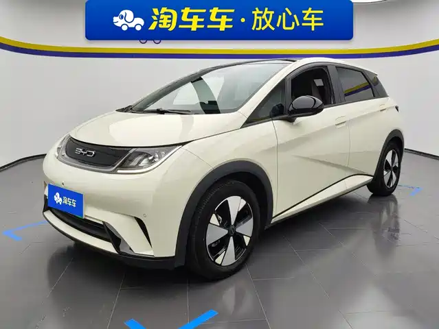 2023 BYD Dolphin