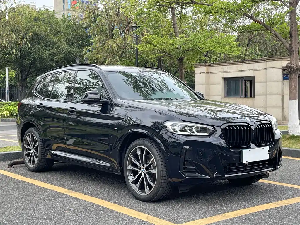 BMW X3 2023 xDrive30i Lead M