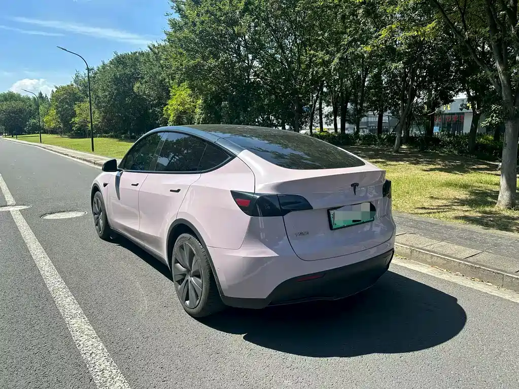 Tesla Model Y — миниатюра 5