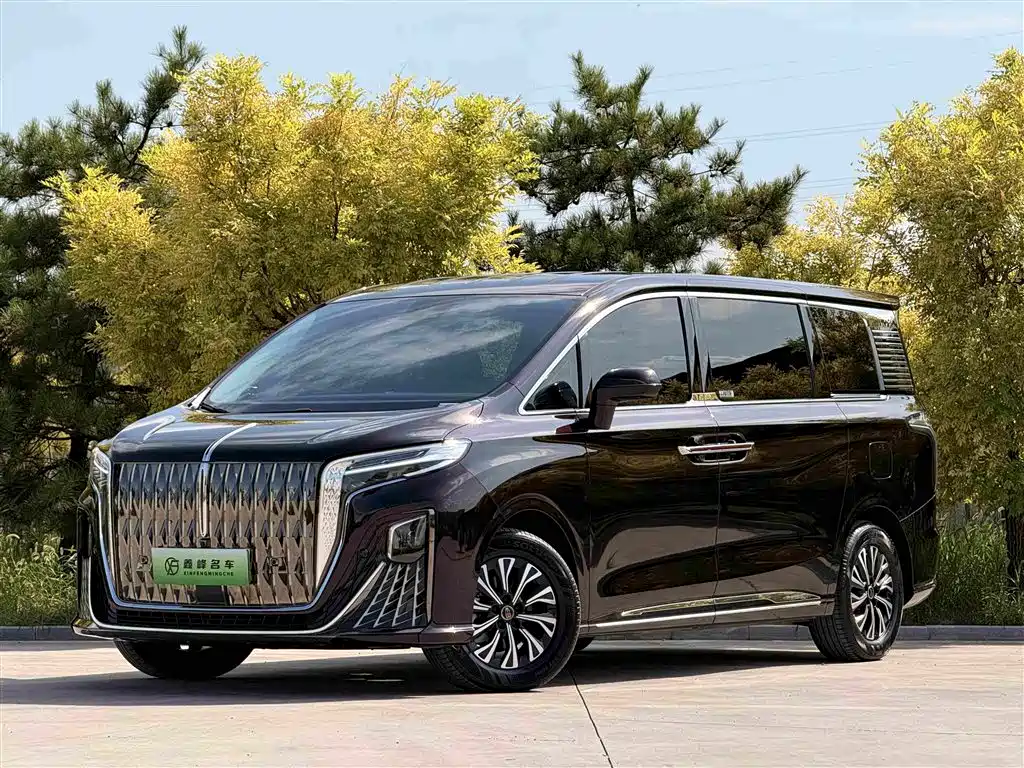 2025 Hongqi HQ9 - zdjęcie 1 z 31