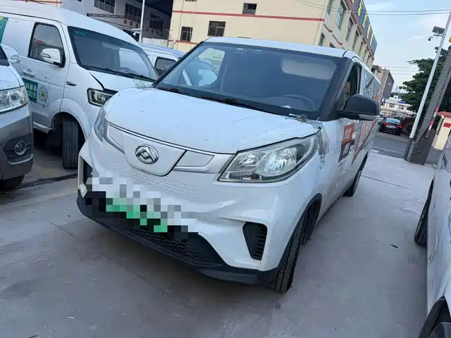 Maxus EV30 2019