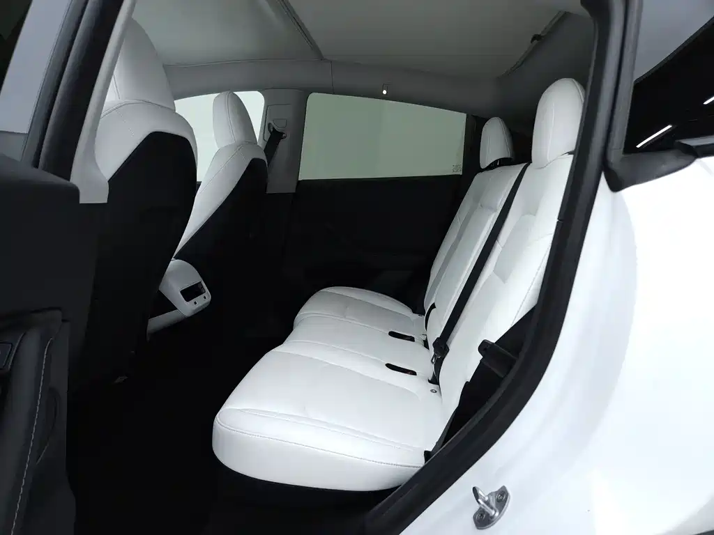 Tesla Model Y — миниатюра 9