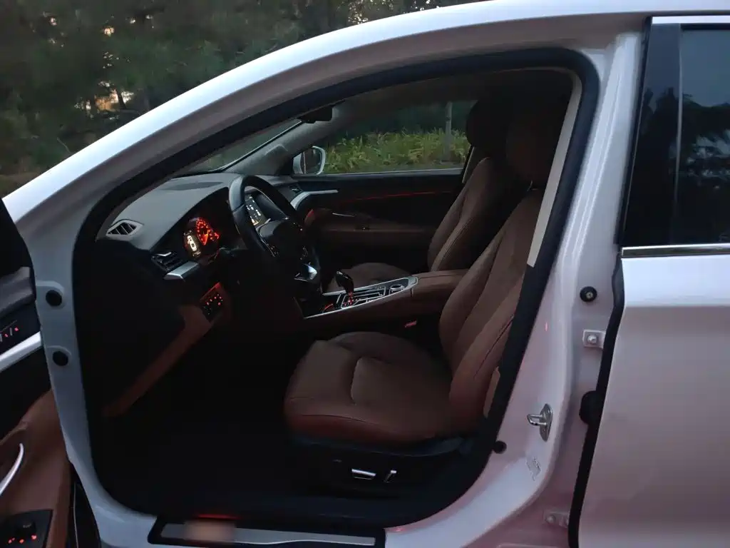 Geely Borui — миниатюра 16