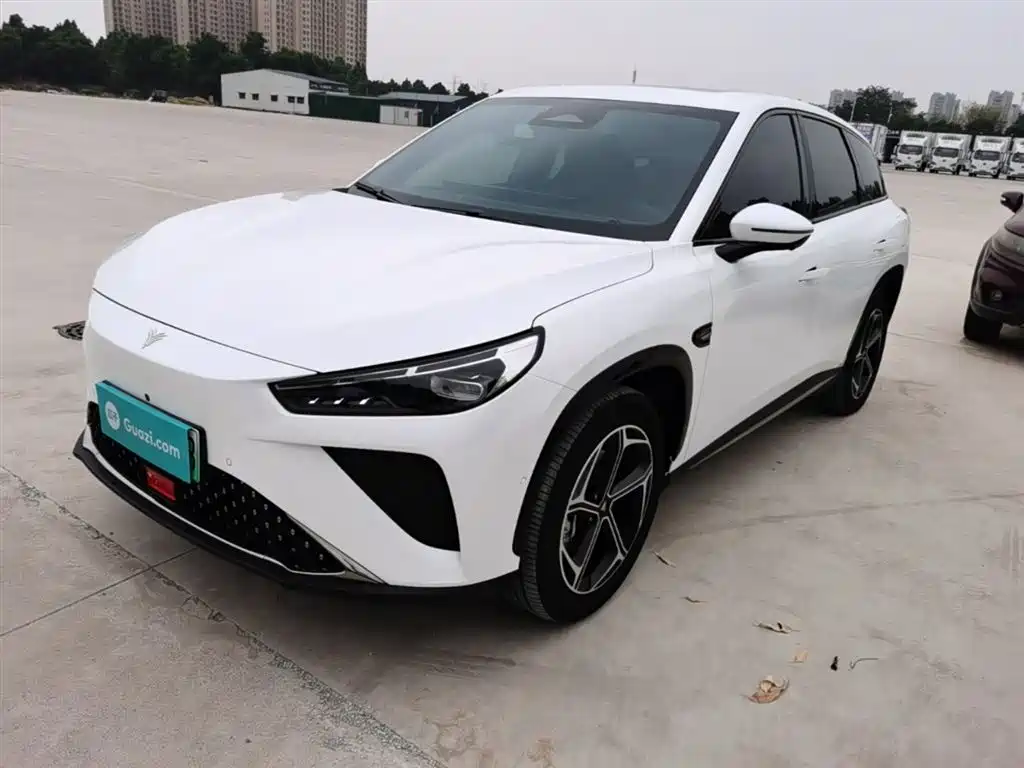 Neta Neta L 2025