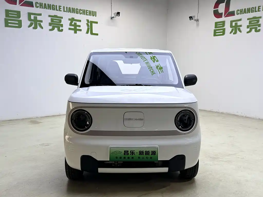 Galaxy Panda 2023