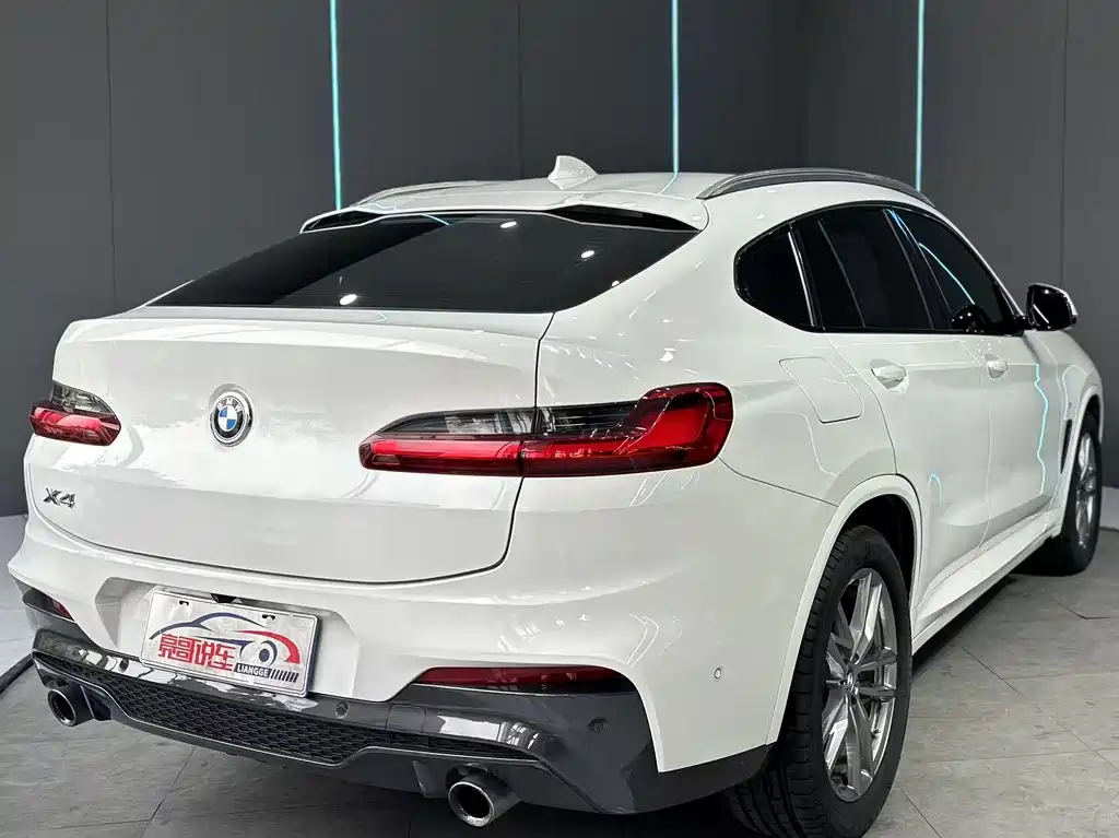 BMW X4 2019 xDrive25i M Sport