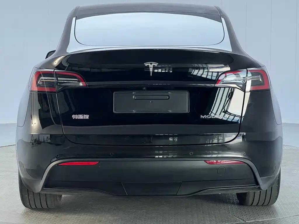 Tesla Model Y — миниатюра 22