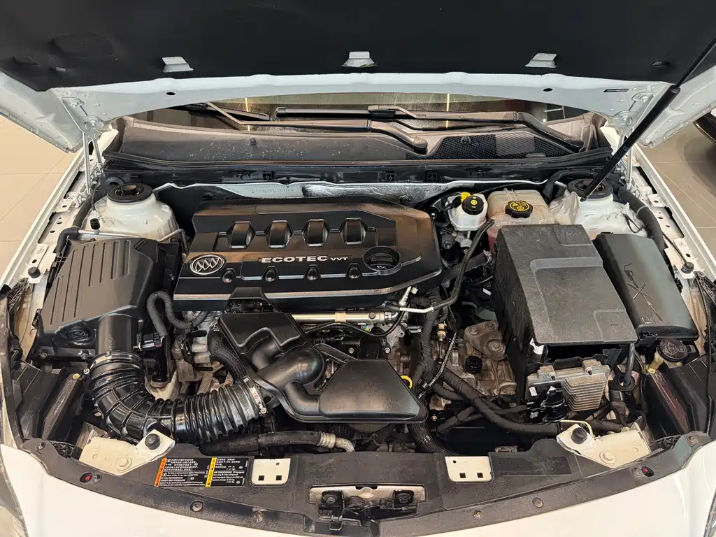 Buick Regal — миниатюра 15