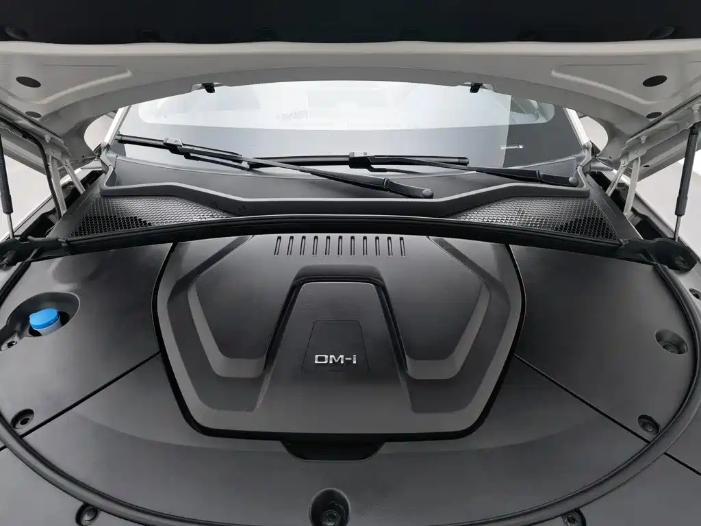 BYD PLUS New Energy — миниатюра 6