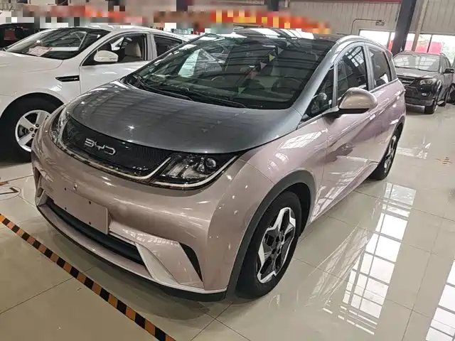 2022 BYD Dolphin