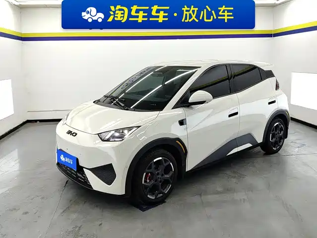 2025 BYD Seagull