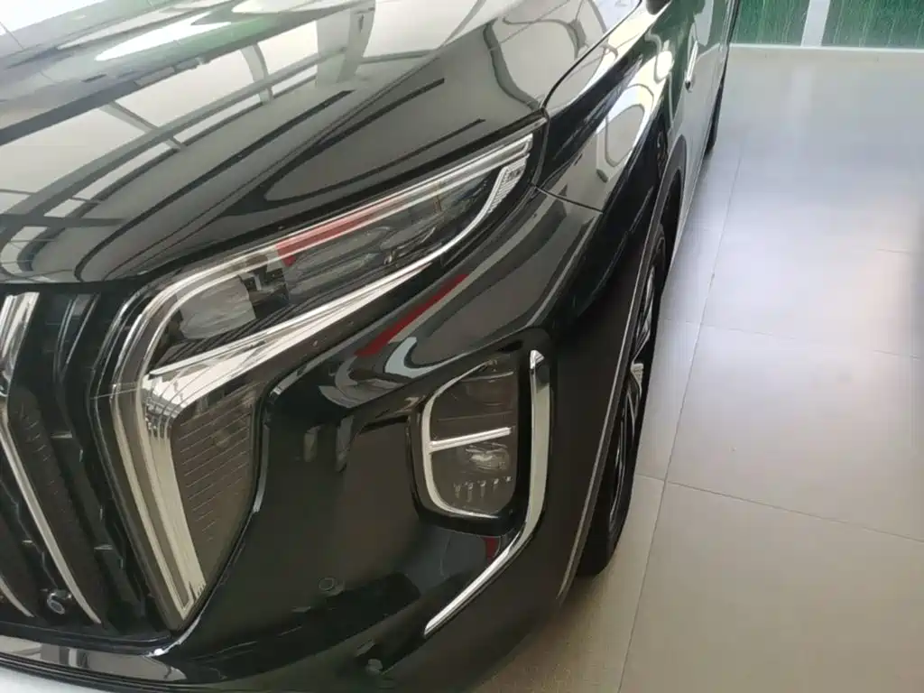 Hongqi Hongqi HS7 PHEV — миниатюра 24