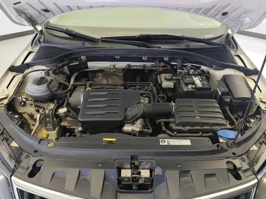Skoda Octavia 2019 1.5L AT Luxury V