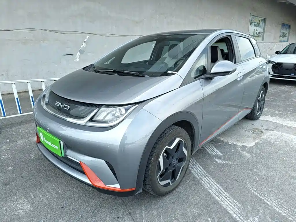 BYD Dolphin 2021 405km Freedom