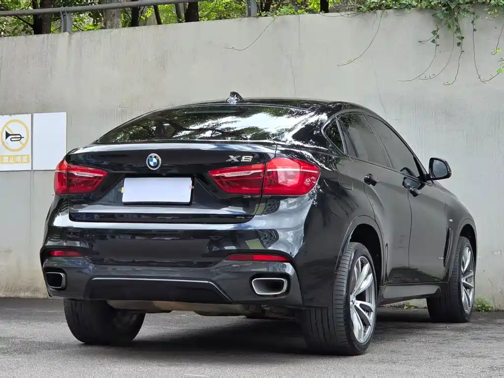 BMW X6 — миниатюра 9