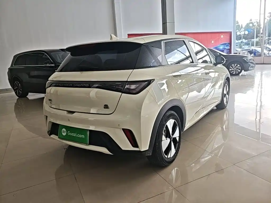 BYD Dolphin — миниатюра 7