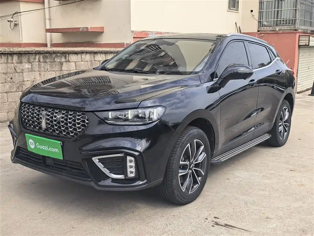 Wey Wey VV5 2021