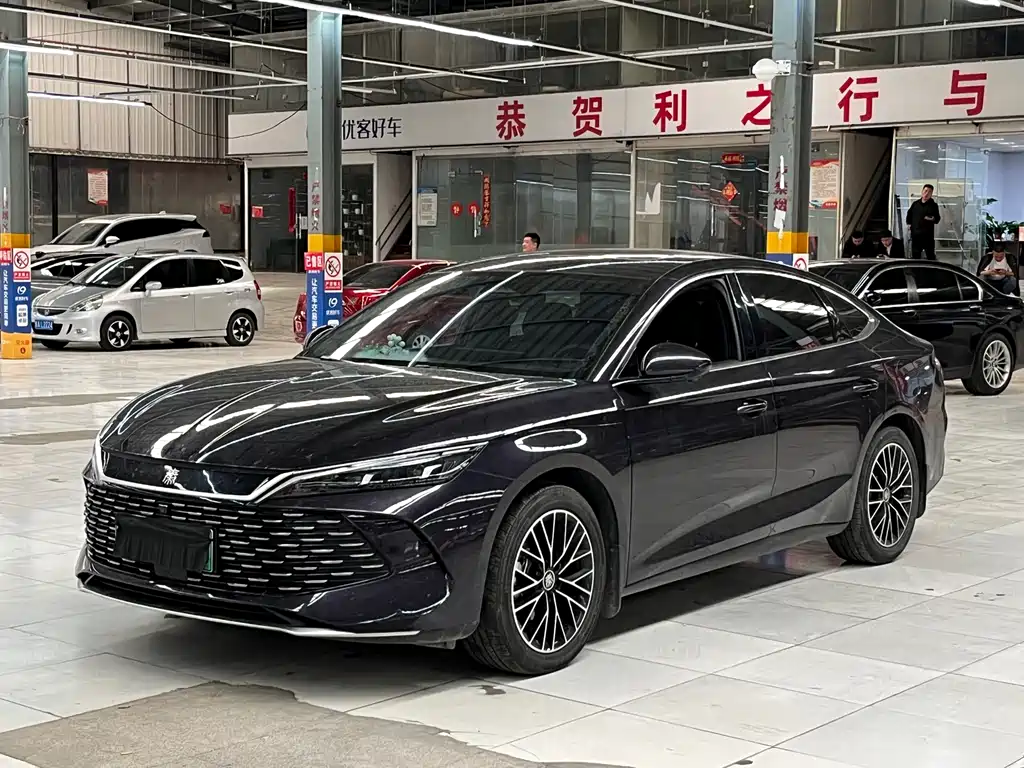Byd Qin L 2024