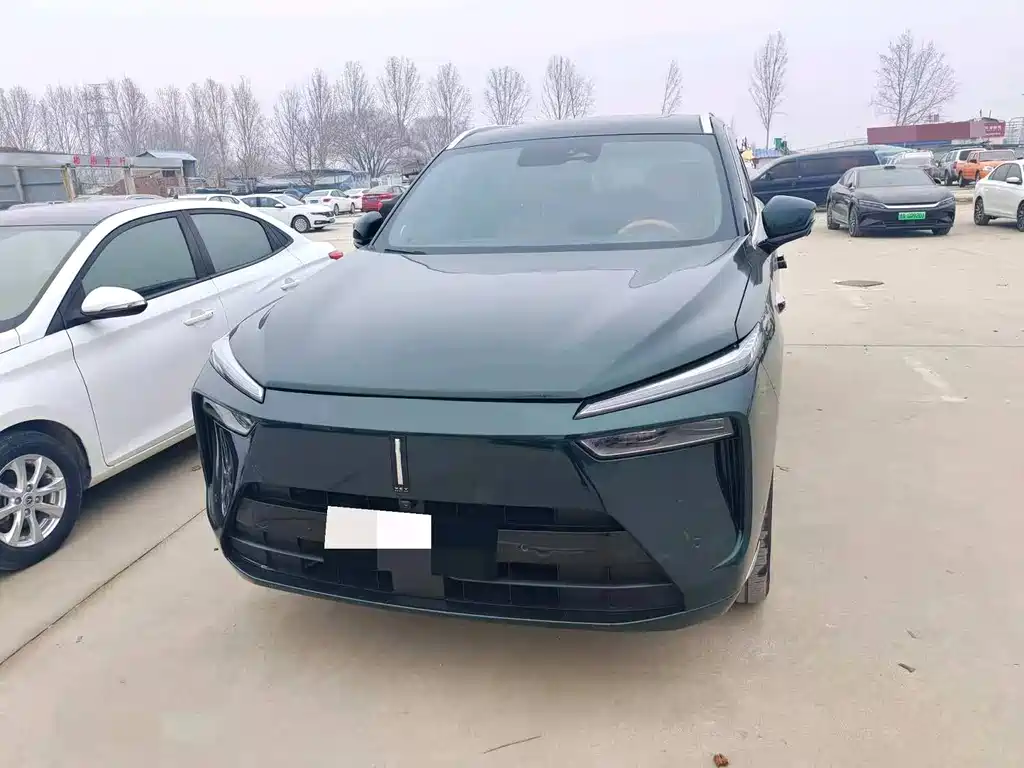 WEI PAI WEI BRAND BLUE MOUNTAIN