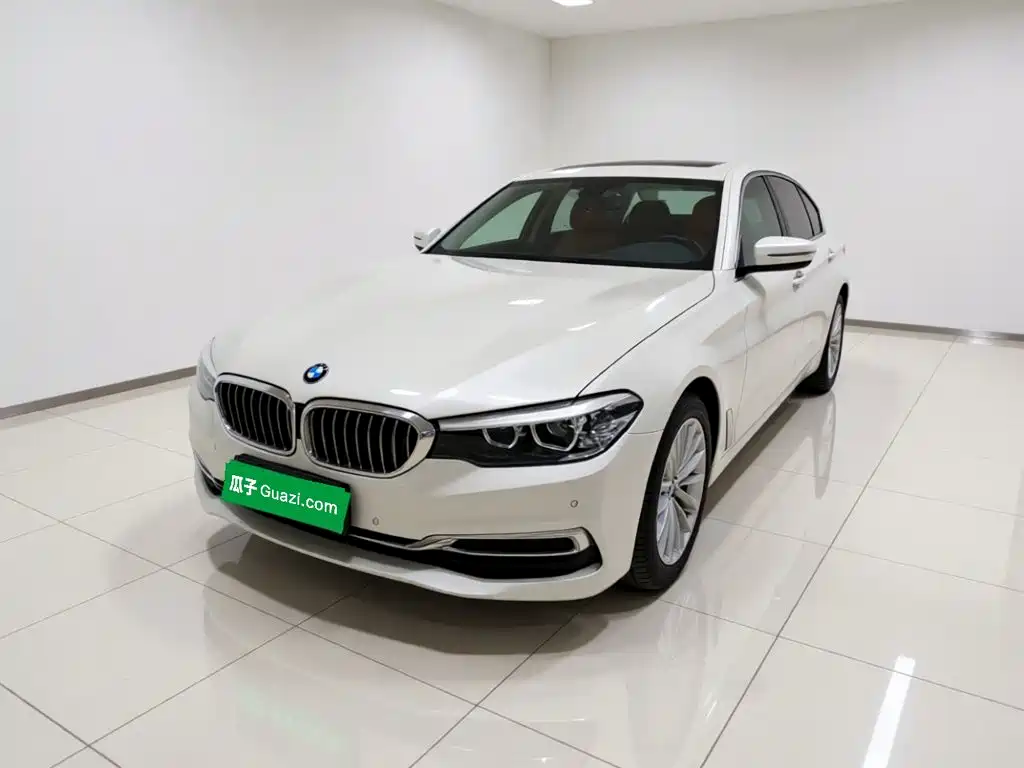 BMW 5 Series 5 2019 530Li Lead Luxury