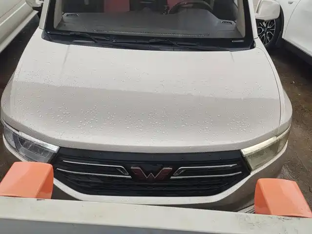 2022 Wuling Motors Hongguang