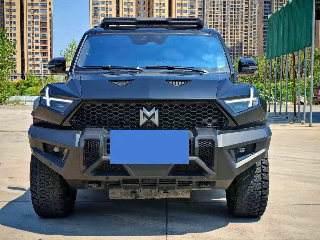 Mengshi Mengshi 917 — миниатюра 2