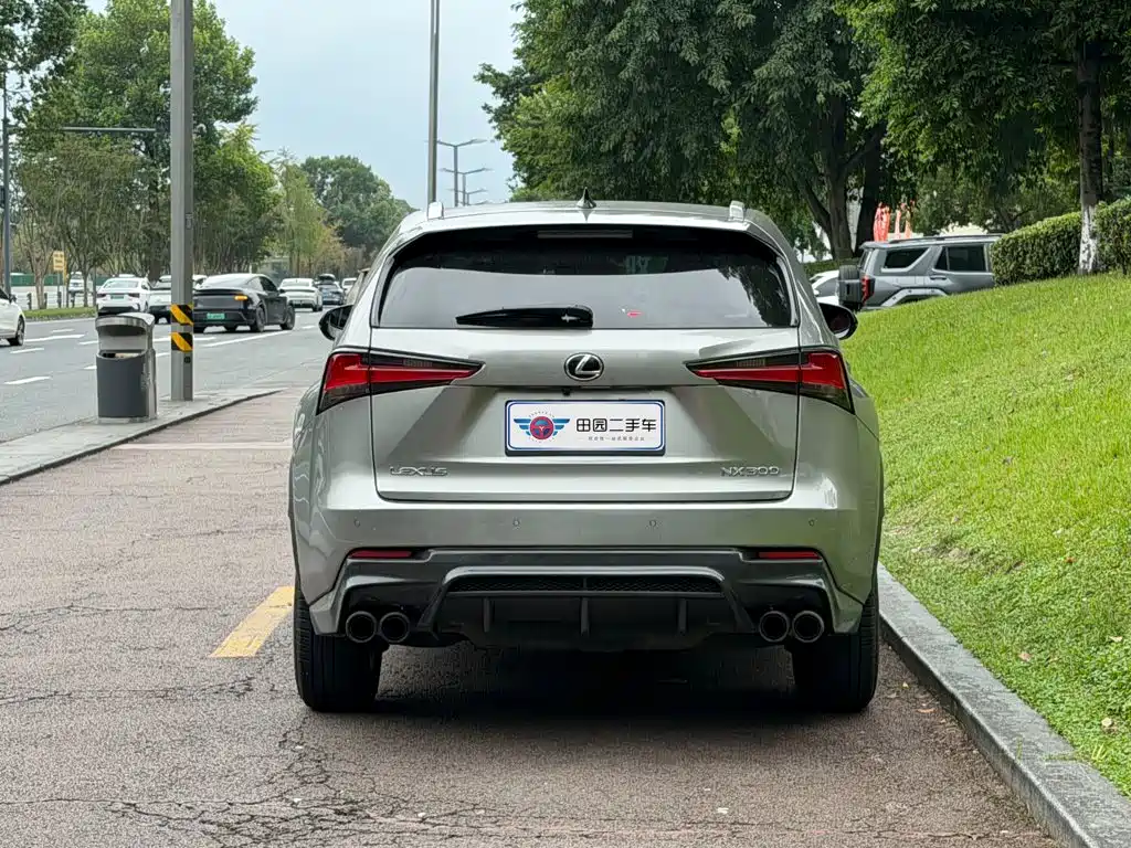 Lexus NX — миниатюра 5