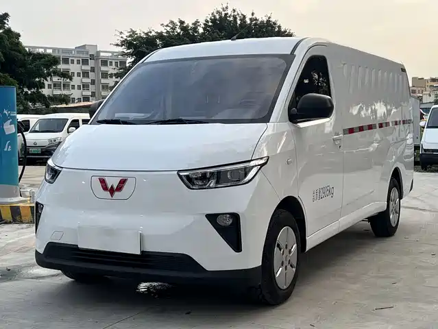 2024 Wuling Motors Yangguang