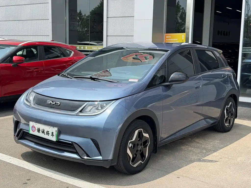 2024 BYD Dolphin - zdjęcie 1 z 15