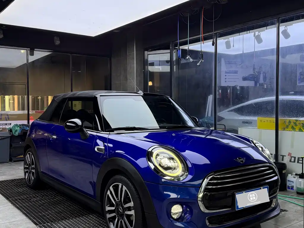 Mini Mini 2018