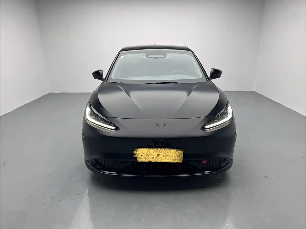 ARCFOX EXTREME FOX POLAR FOX ALPHA S