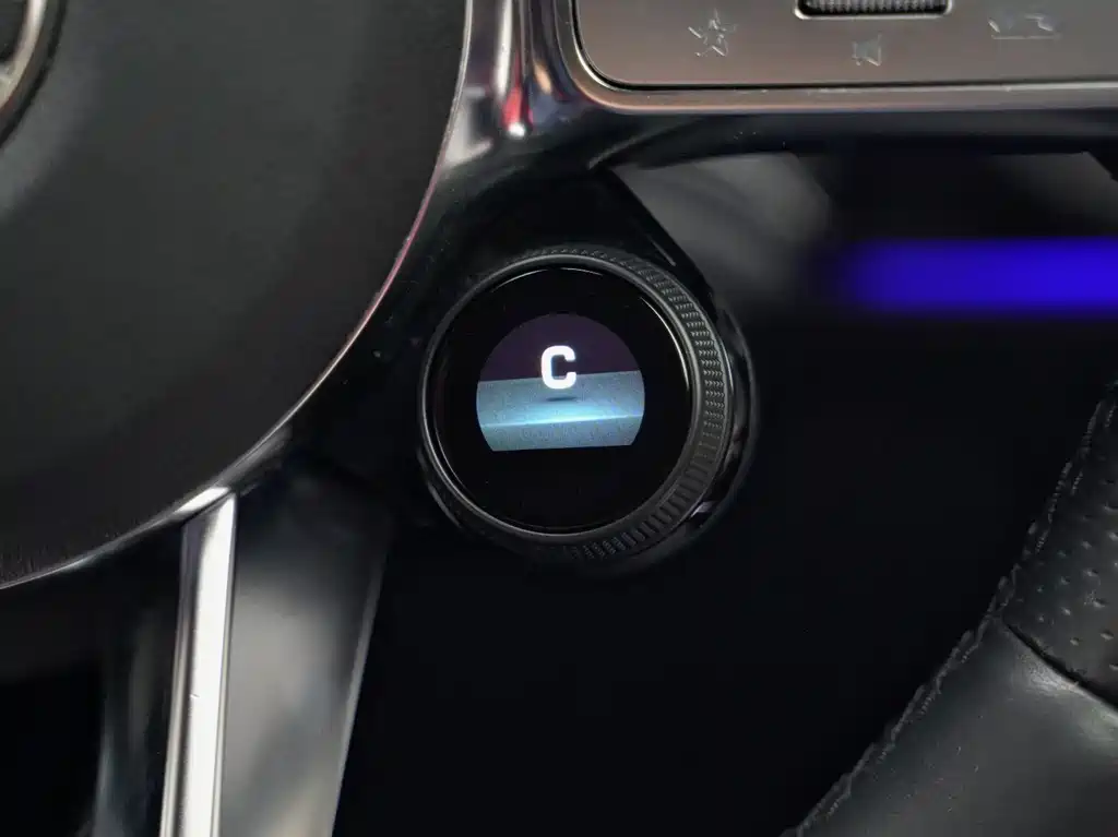 MERCEDES-BENZ G CLASS AMG