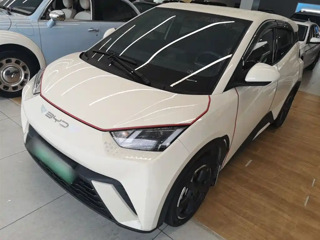 Byd Seagull 2024
