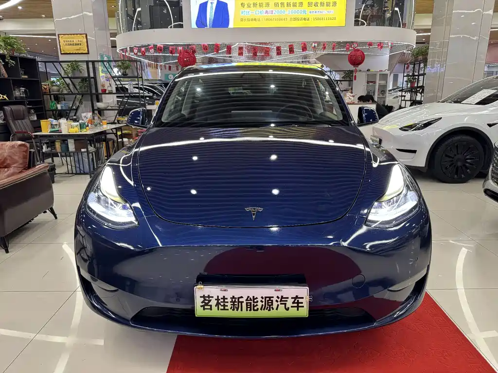 Tesla Model Y 2021