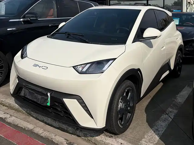 2024 BYD Seagull
