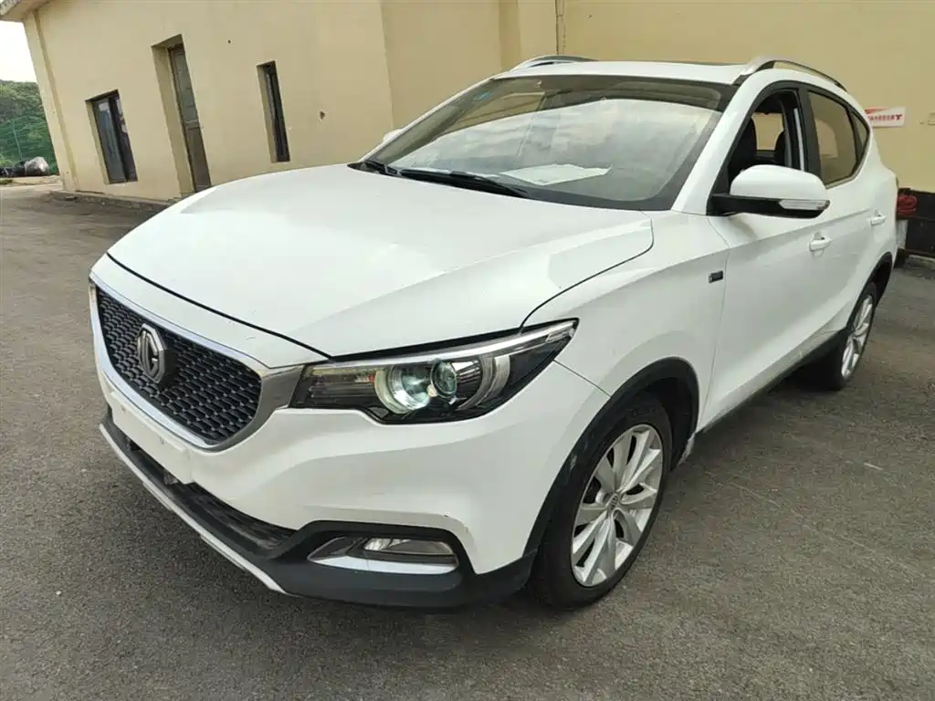 Mg ZS 2017