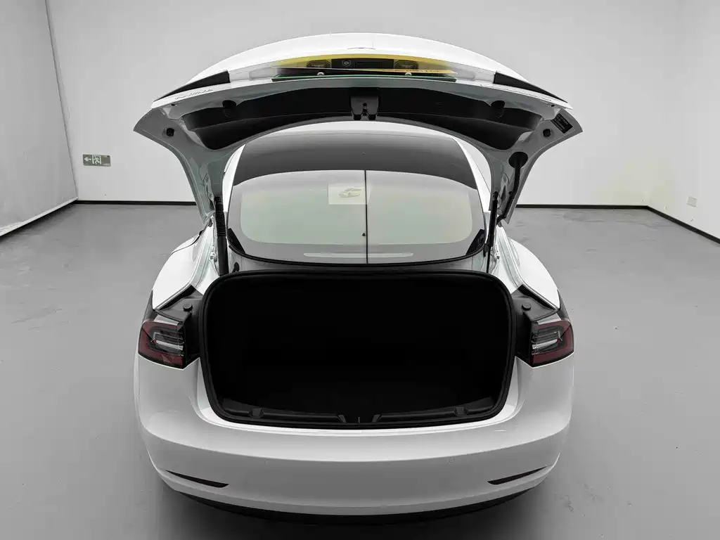 Tesla Model 3 — миниатюра 15